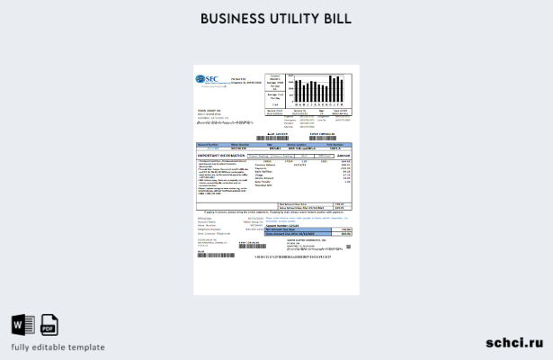цифровая загрузка Santee Electric Cooperative Inc (SEC), шаблон счета за коммуна